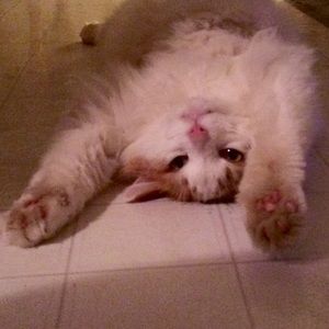 Meet your Posher, Heather